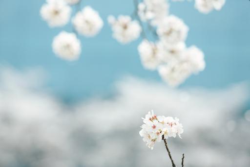 성산패총