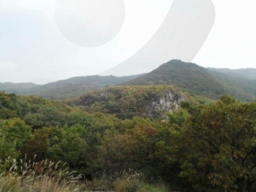 20. 가지산도립공원