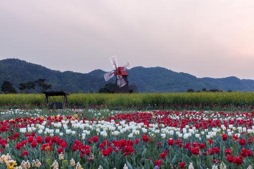 남지체육공원
