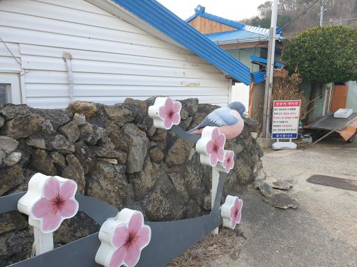 45. 백년손님촬영지