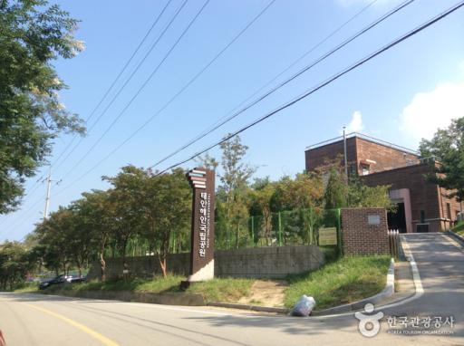 20. 태안해안국립공원 몽산포지구