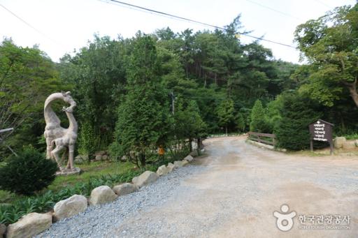 146. 횡성자연휴양림