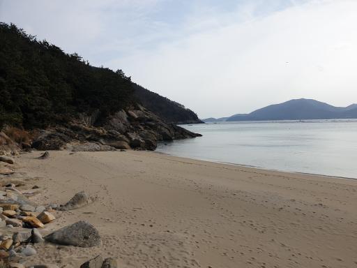 가사동백숲해변