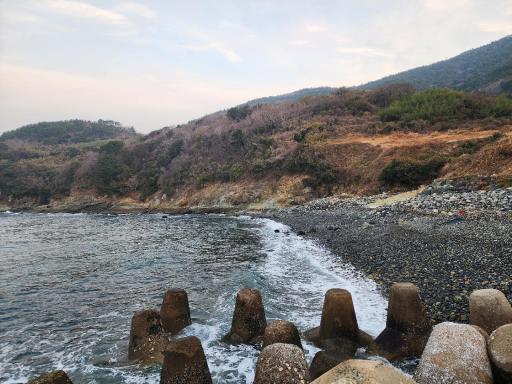 유동해수욕장