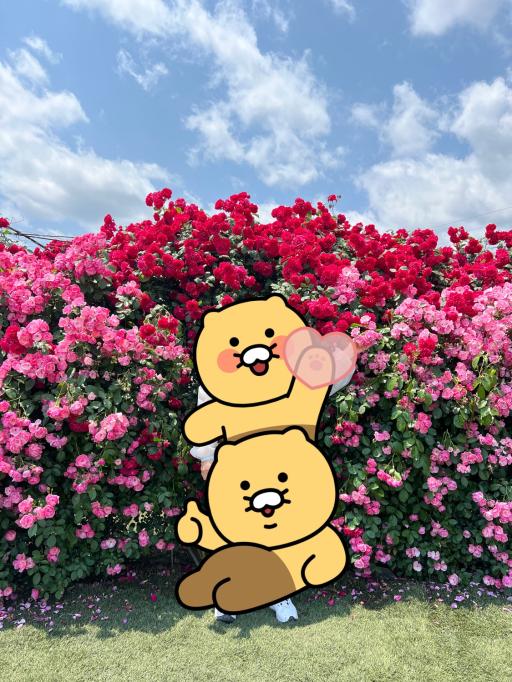 37. 하양유원지