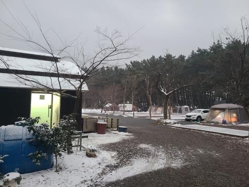 서천송림갯벌체험장