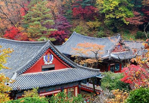 39. 구인사