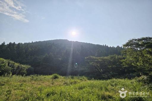 27. 바농오름