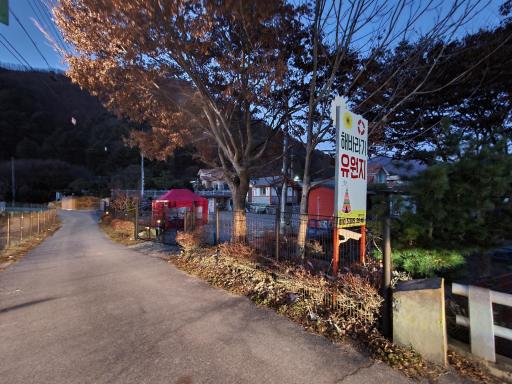 147. 해바라기유원지