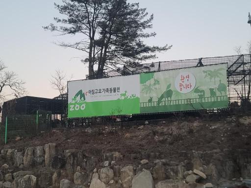 5. 아침고요가족동물원