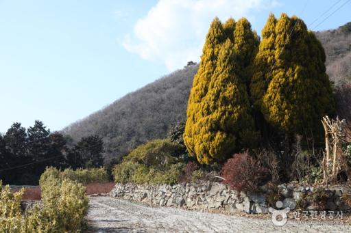 86. 공곶이수목원