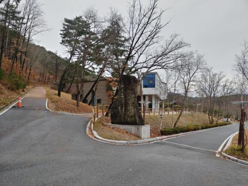 정감록명당체험마을