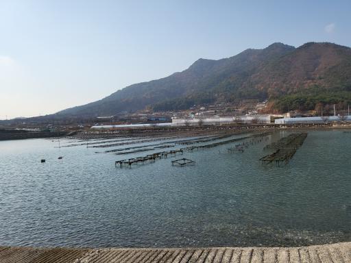 195. 솔섬