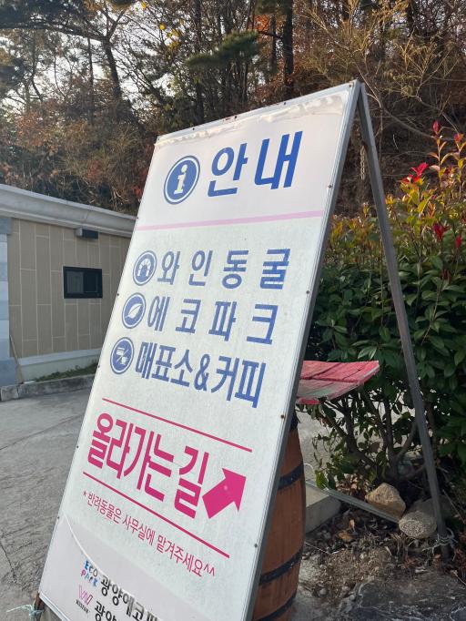 20. 광양와인동굴