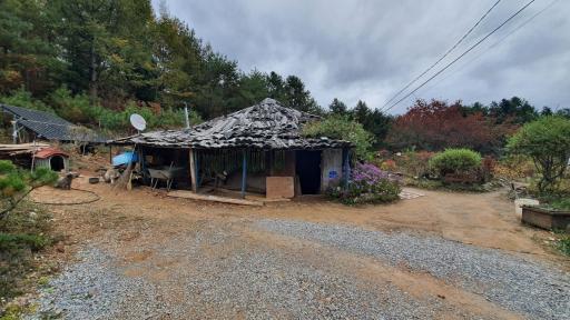 121. 평창자생식물원