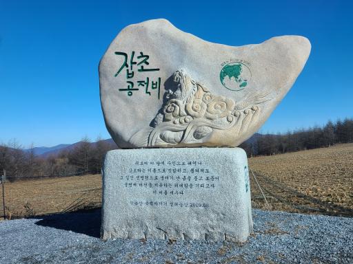 8. 청옥산전망대