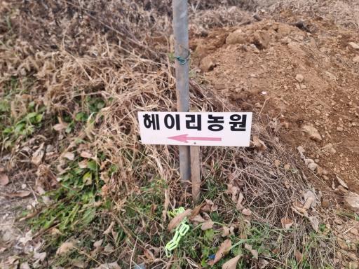 헤이리농원