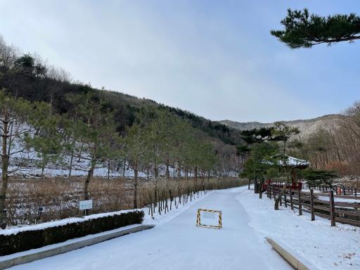 201. 보령무궁화수목원