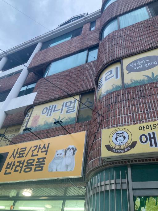 49. 애니멀스토리