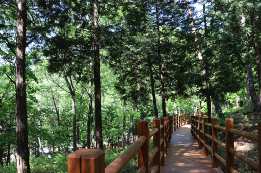 218. 국립대운산치유의숲