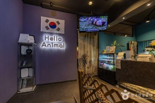 54. 헬로애니멀