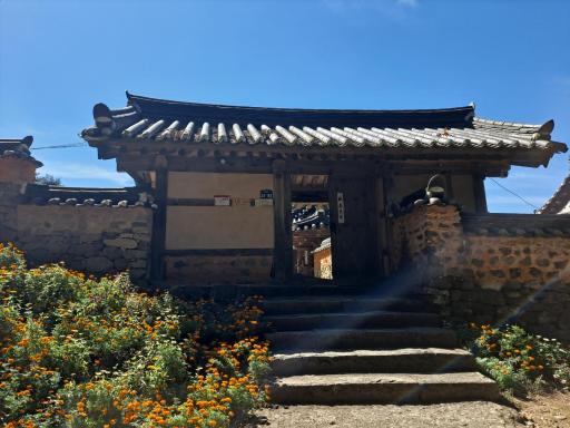 369. 금시당백곡재