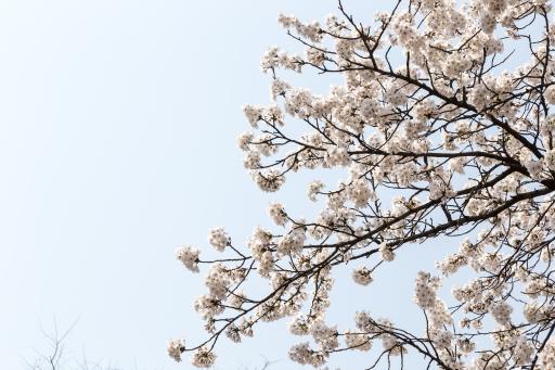 15. 팔공산순환도로