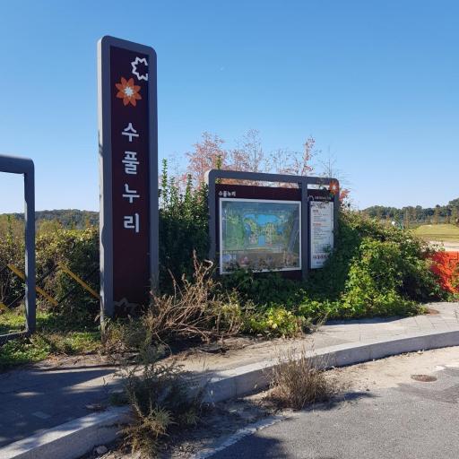 1004. 수풀누리