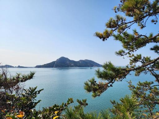 244. 대봉전망대