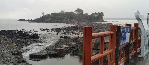 161. 서건도