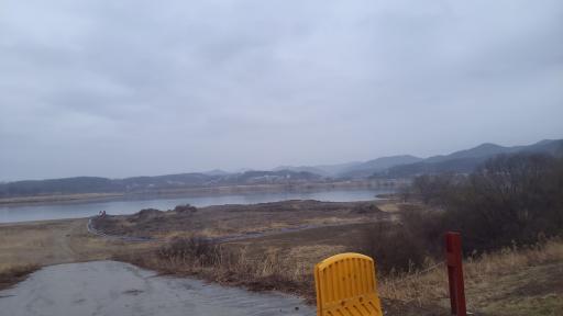 208. 도리섬