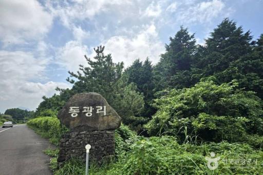 61. 감낭오름