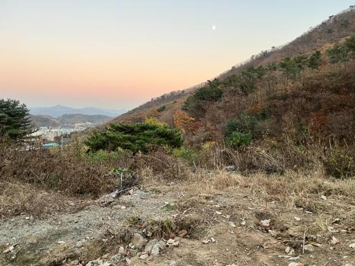 배알미계곡