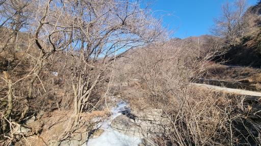 170. 국립김천치유의숲