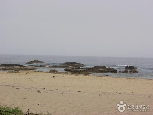 자작도해변